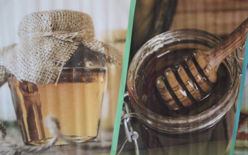 congreso-apicultores-5