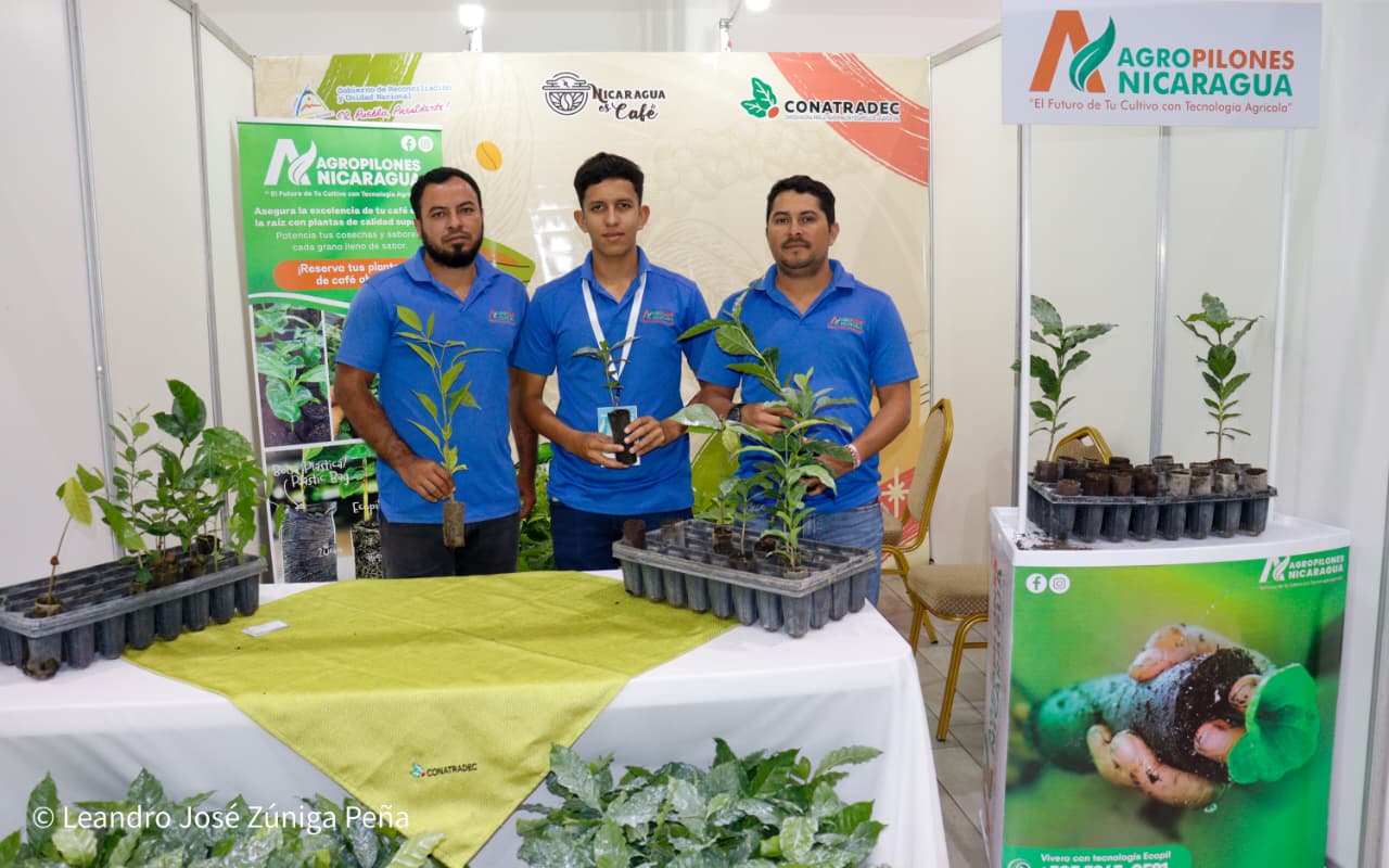 Festival-Nicaragua-es-Cafe-53