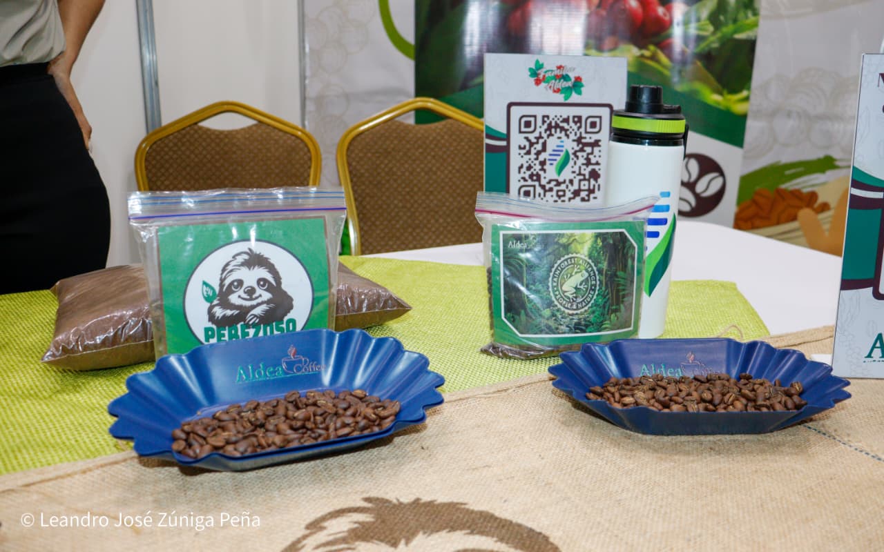 Festival-Nicaragua-es-Cafe-57