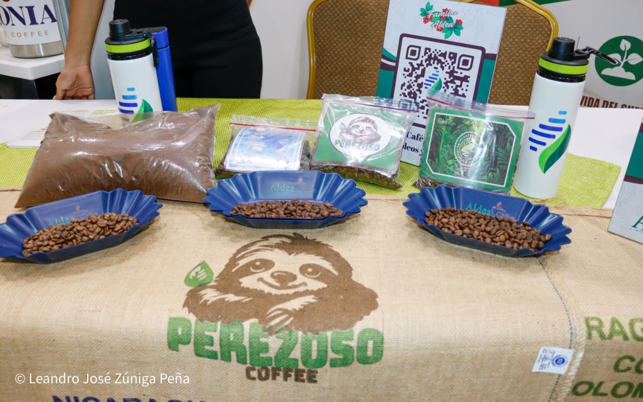 Festival-Nicaragua-es-Cafe-59