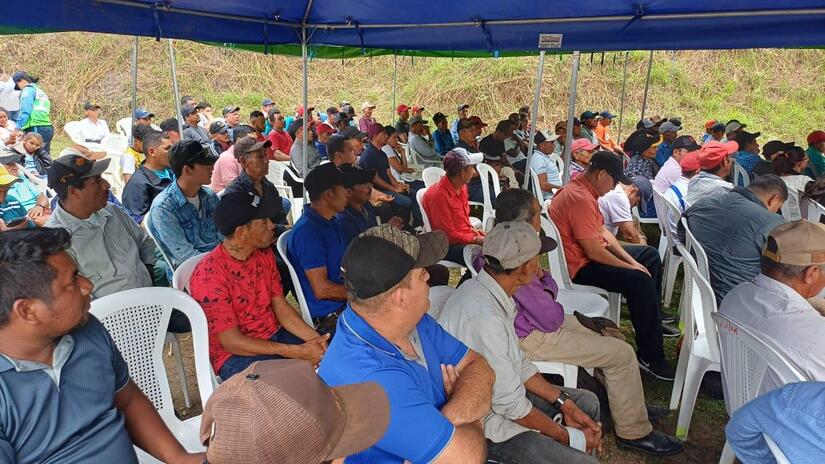 Seguridad-Cosecha-Cafetalera-7