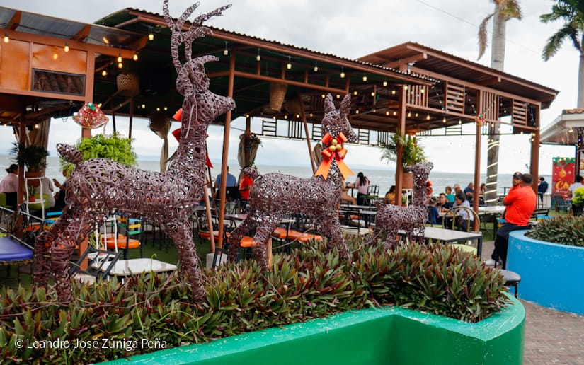 Puerto-Salvador-Allende--(44)