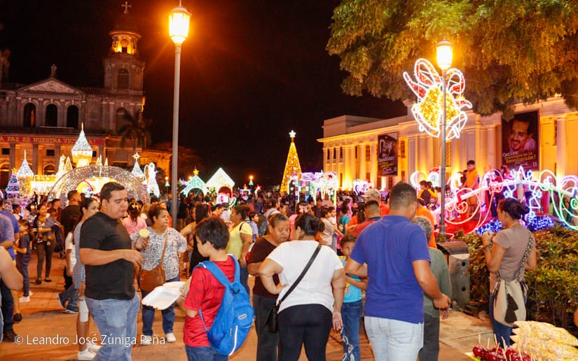 Luces-Navidenas--(11)