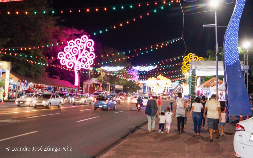 Luces-Navidenas--(13)