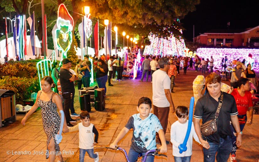 Luces-Navidenas--(14)