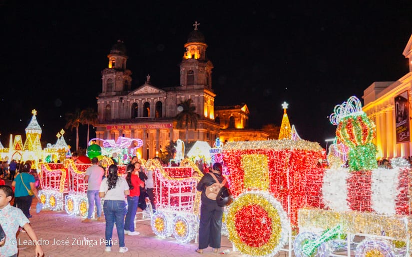 Luces-Navidenas--(18)