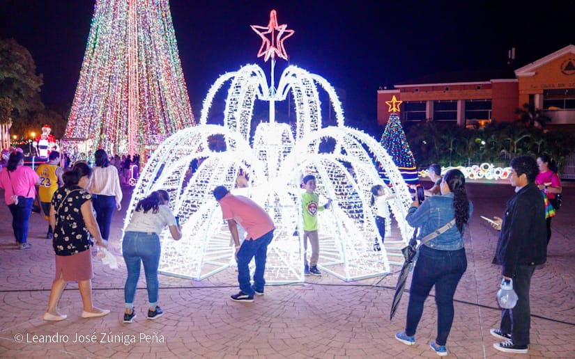 Luces-Navidenas--(20)