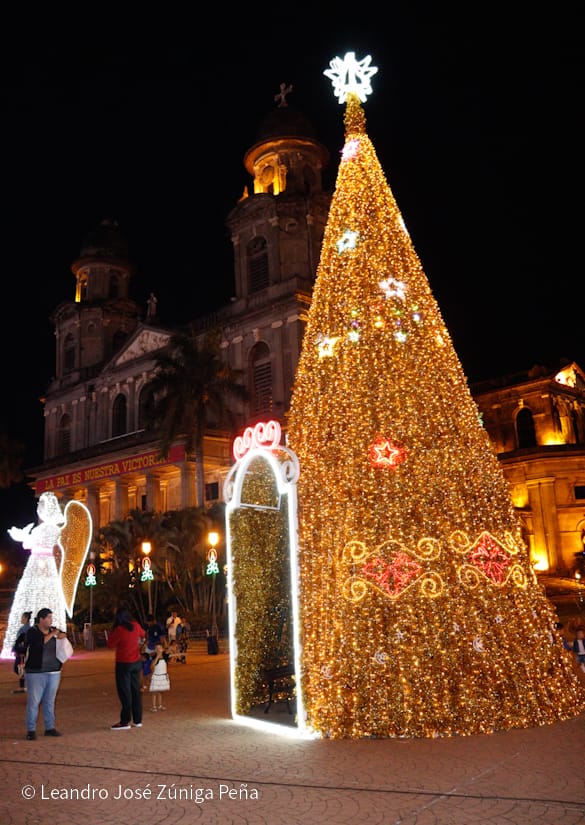 Luces-Navidenas--(25)