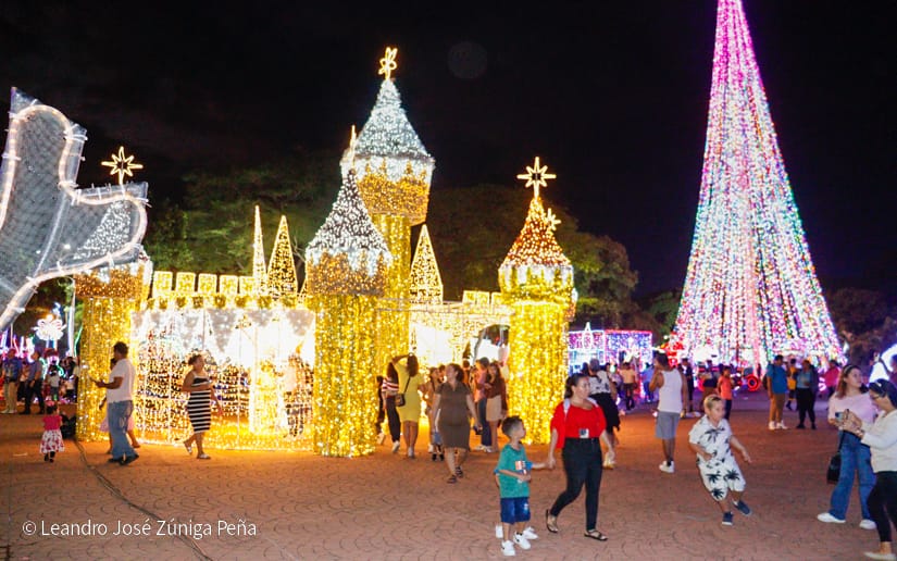 Luces-Navidenas--(26)