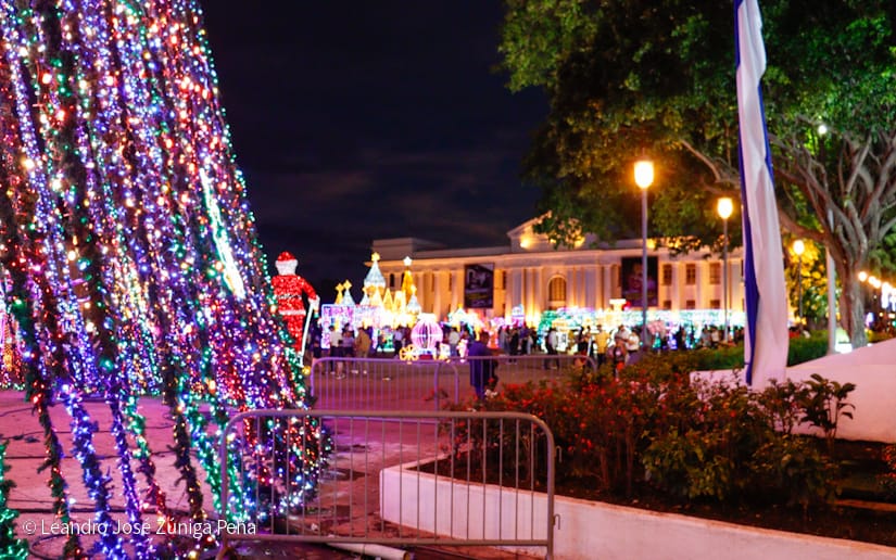 Luces-Navidenas--(39)