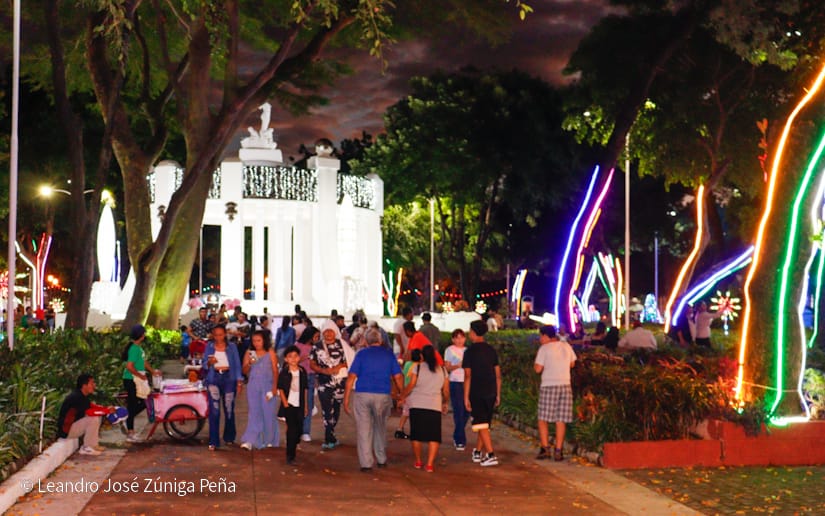 Luces-Navidenas--(40)