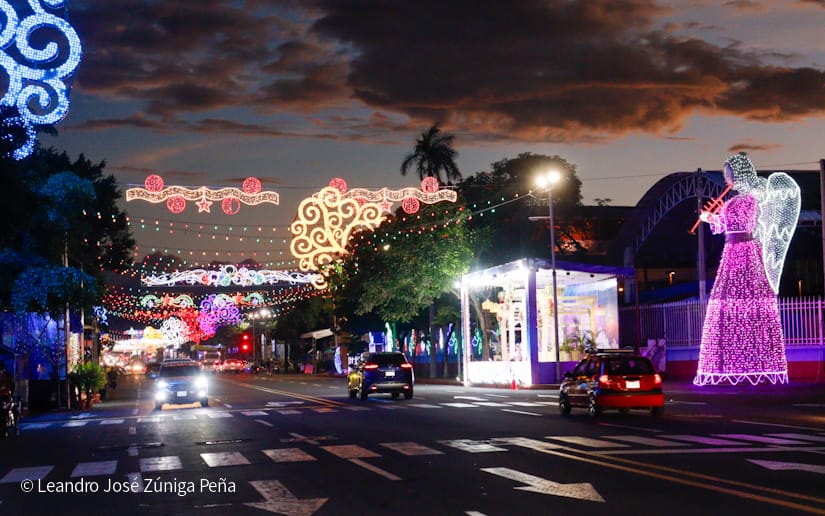 Luces-Navidenas--(43)