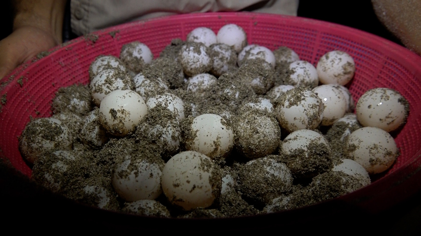 Clip--624-mov-20_05_58_27-Imagen-fija001