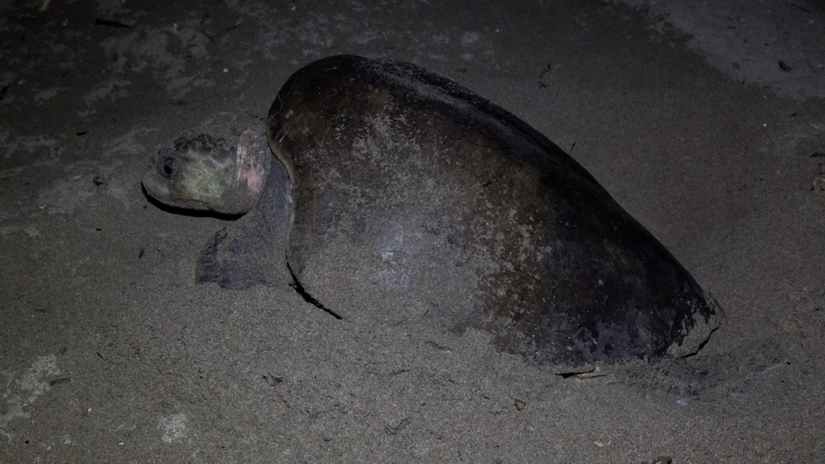 Clip--626-mov-20_08_42_05-Imagen-fija001