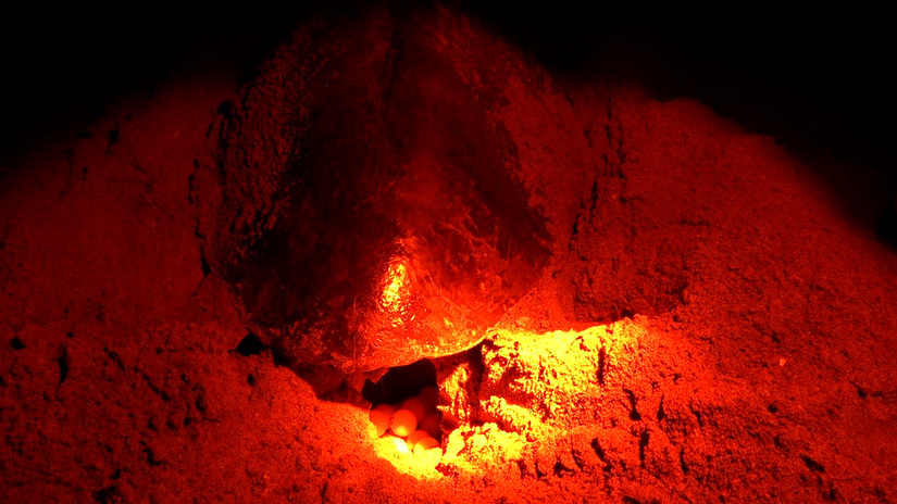 Clip--644-mov-20_21_31_21-Imagen-fija001