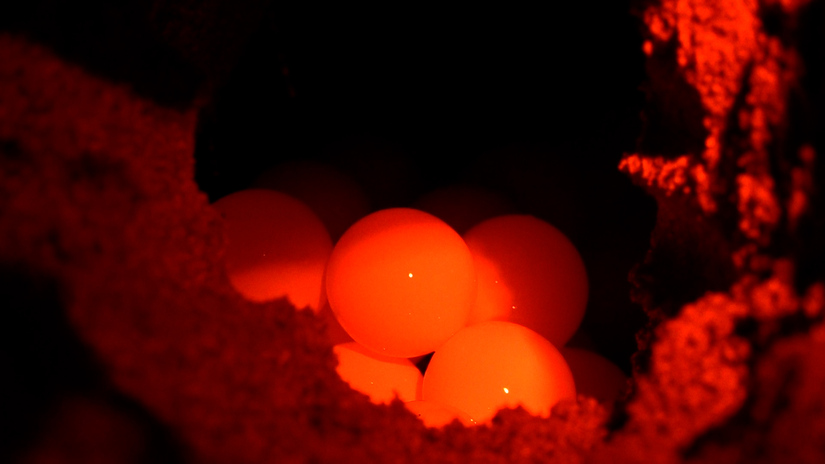 Clip--646-mov-20_22_25_14-Imagen-fija001