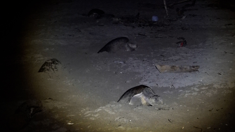 Clip--685-mov-21_22_10_06-Imagen-fija001