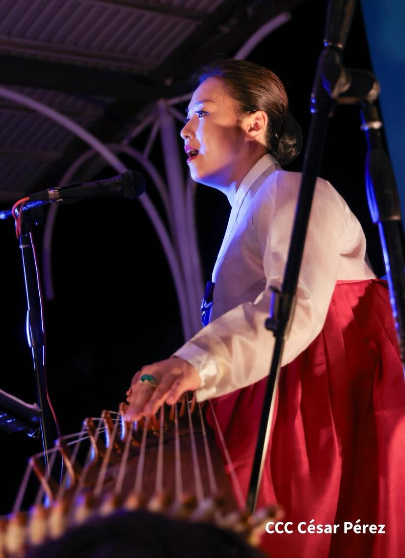 Fiesta-Nacional-Corea--(12)