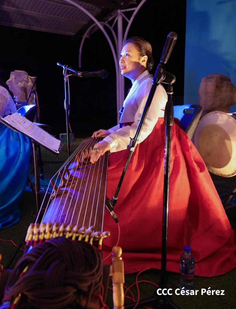 Fiesta-Nacional-Corea--(18)