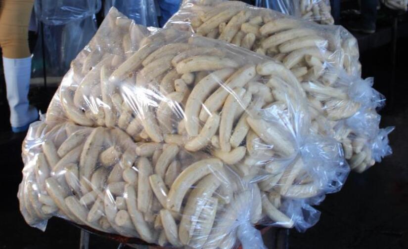 Produccion-de-platano-5