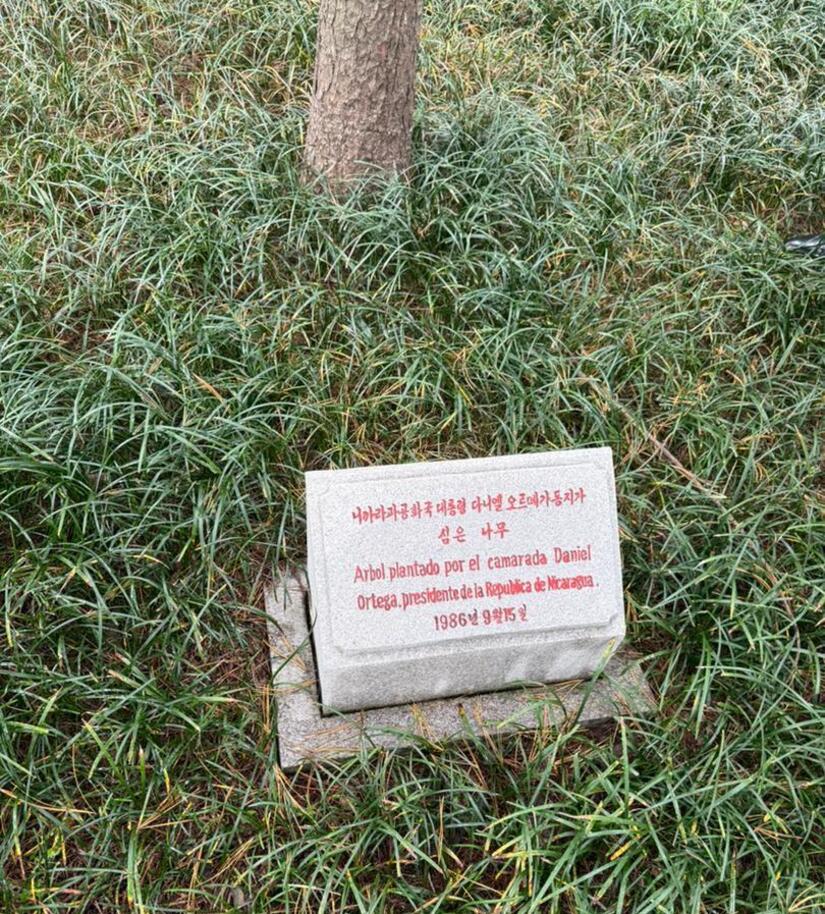 Delegacion-Nicaragua-6