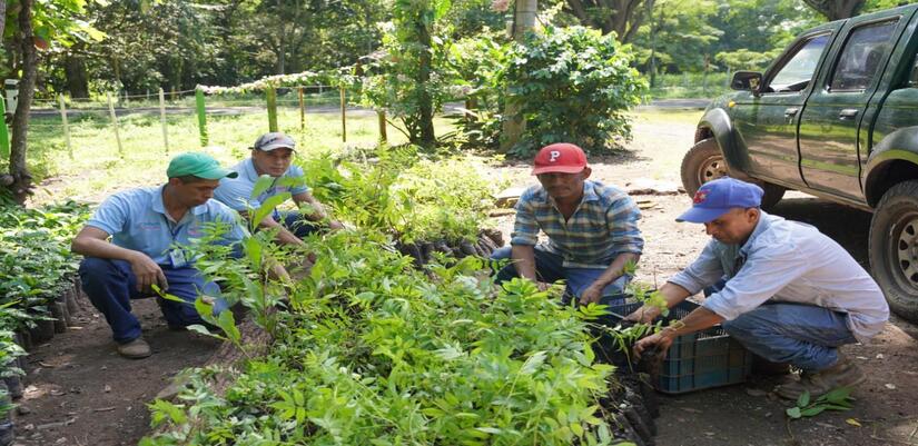 Verde-que-te-quiero-verde-1