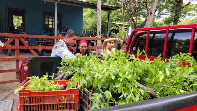 Verde-que-te-quiero-verde-2