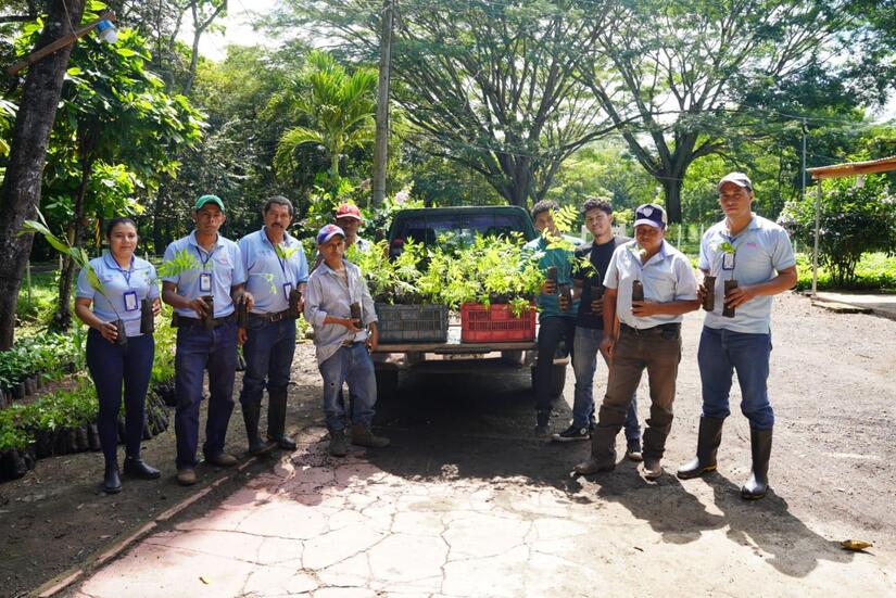 Verde-que-te-quiero-verde-5