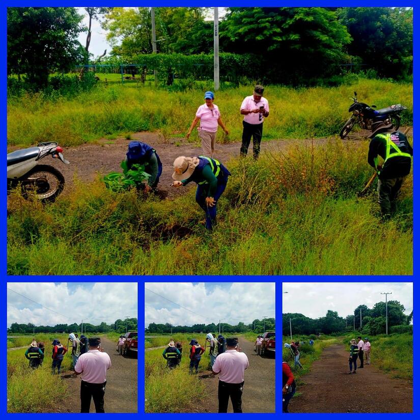 Verde-que-te-quiero-verde-2