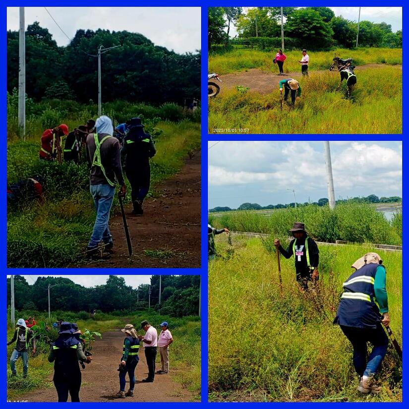 Verde-que-te-quiero-verde-3