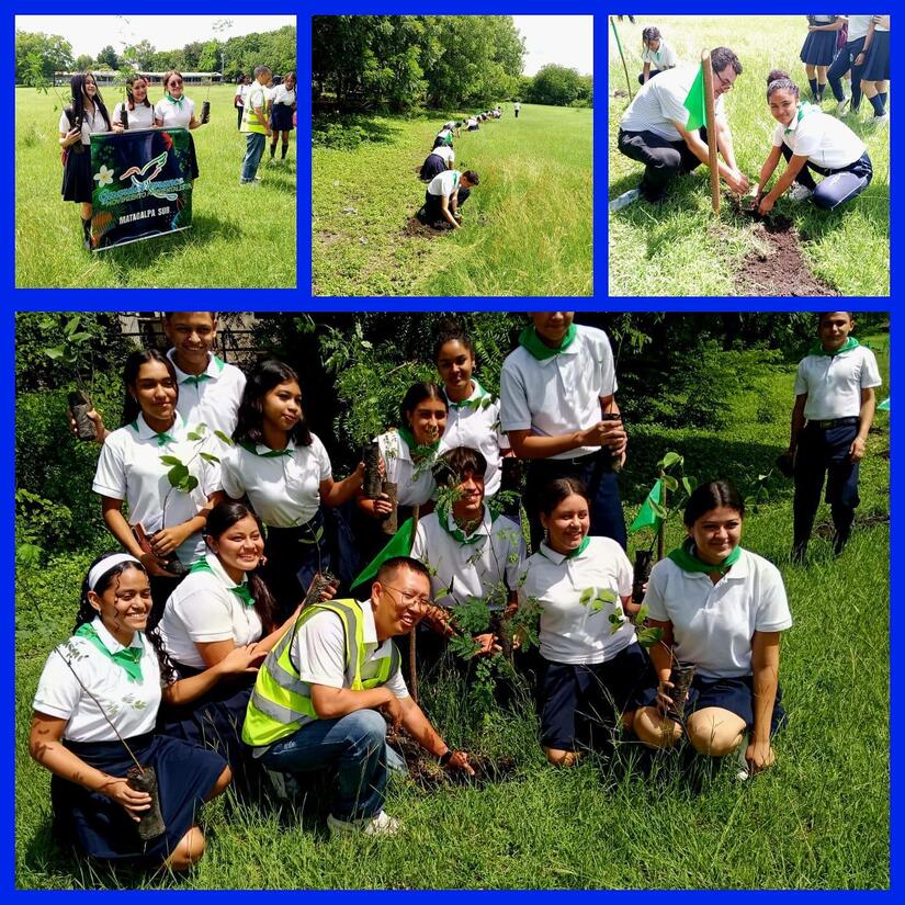 Verde-que-te-quiero-verde-5