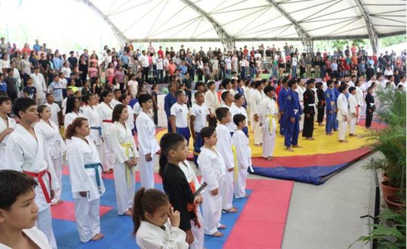 Artes-Marciales-Mixtas-1