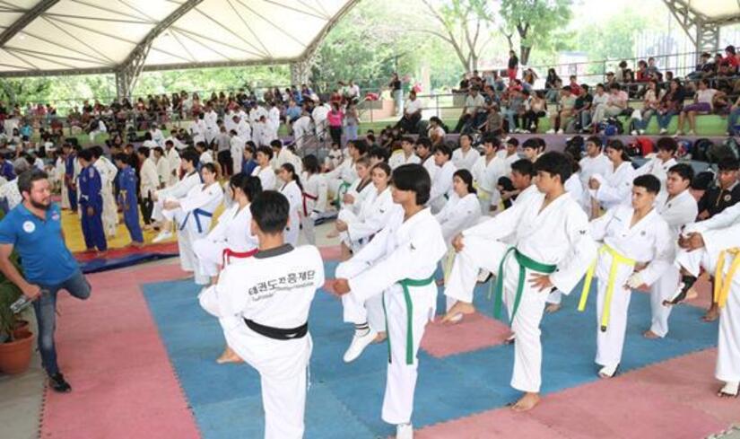 Artes-Marciales-Mixtas-2