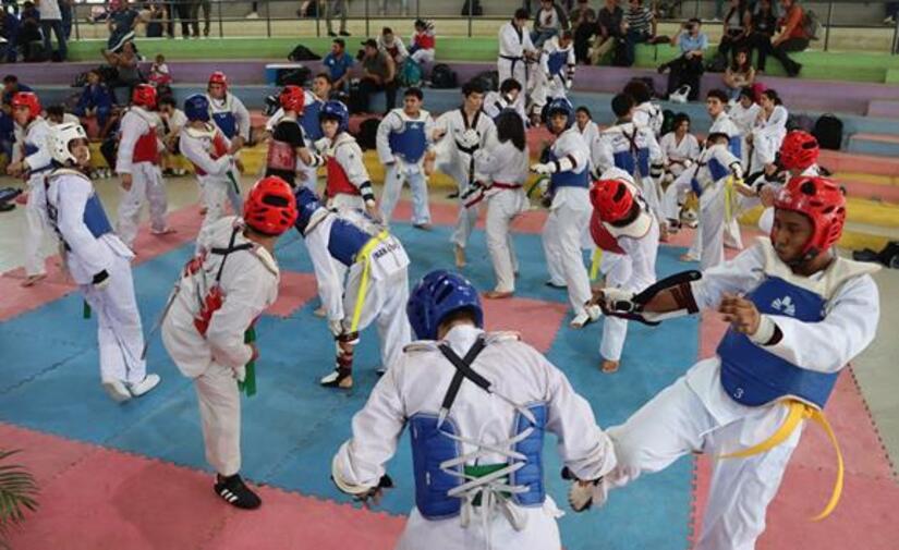 Artes-Marciales-Mixtas-3