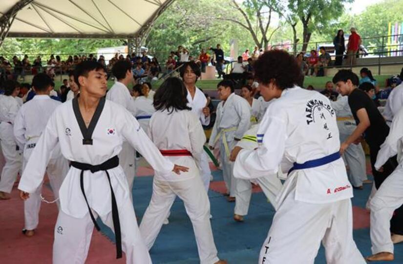 Artes-Marciales-Mixtas-5