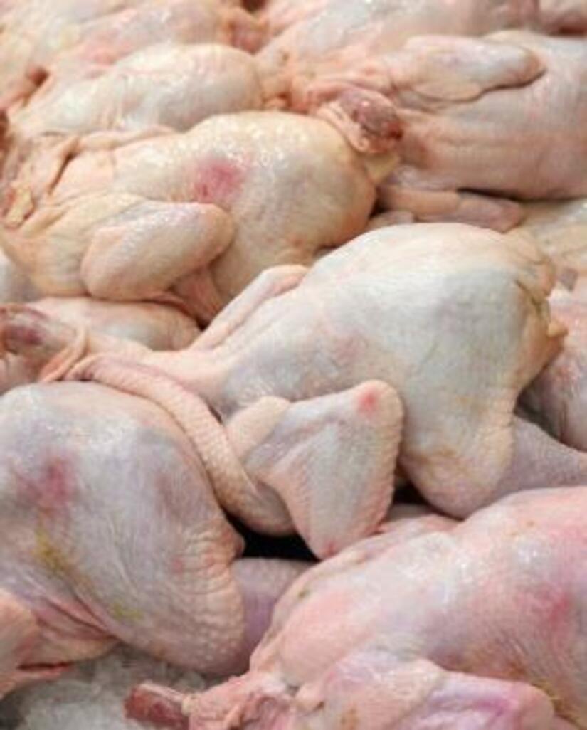 Produccion-de-carne-de-pollo-Nicaragua-3