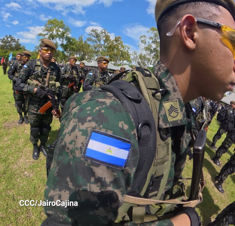 Cosecha-Cafetalera-10