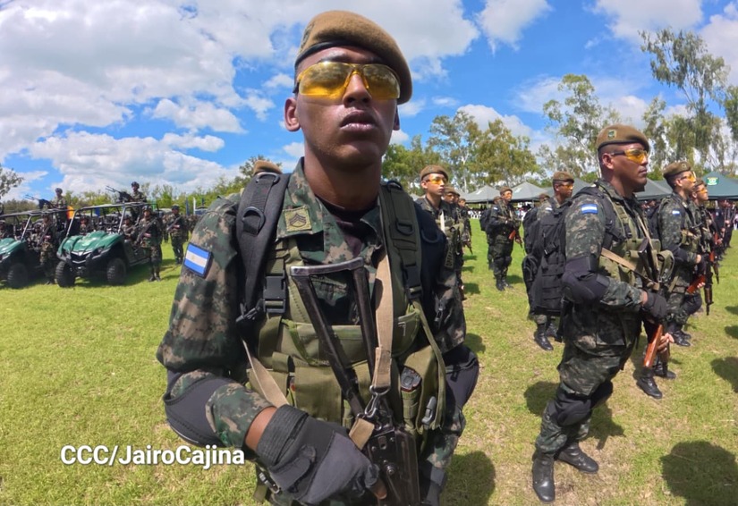 Cosecha-Cafetalera-16