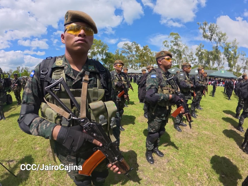 Cosecha-Cafetalera-3