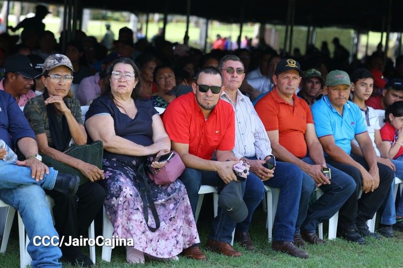 Cosecha-Cafetalera-39