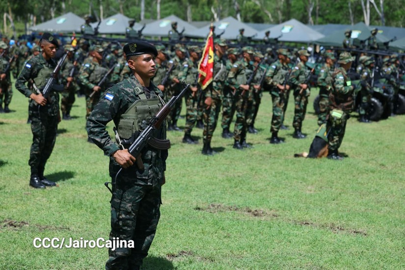 Cosecha-Cafetalera-40