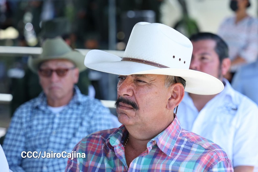 Cosecha-Cafetalera-46