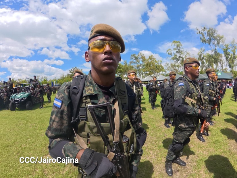 Cosecha-Cafetalera-5