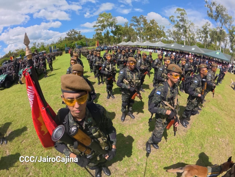 Cosecha-Cafetalera-6