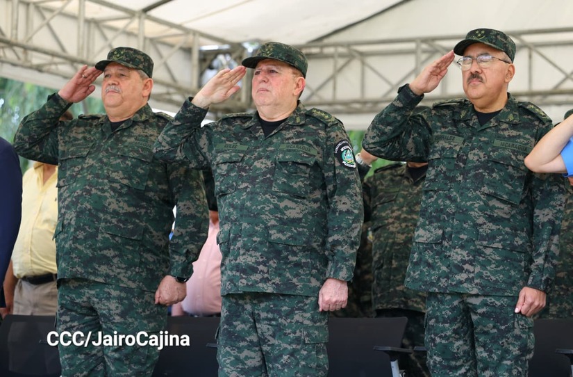 Cosecha-Cafetalera-66