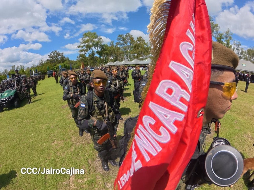 Cosecha-Cafetalera-7