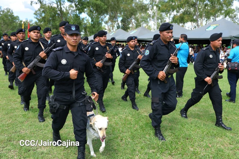 Cosecha-Cafetalera-89