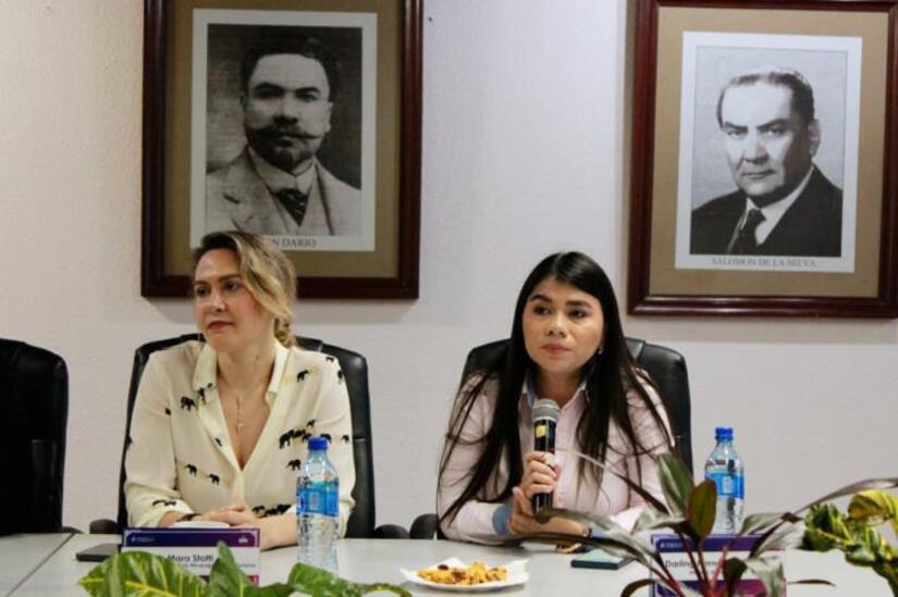 Economia-Creativa-Surinam-9