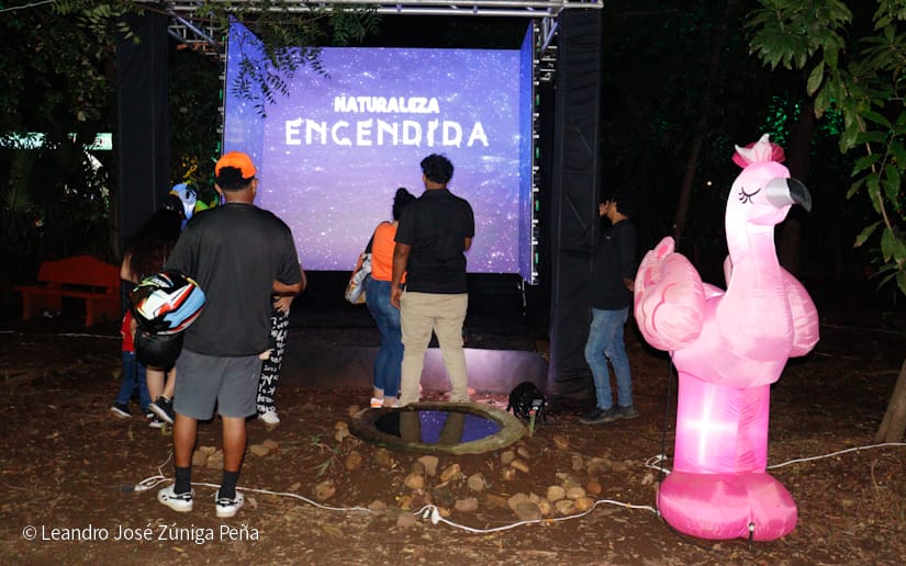 NATURALEZA-ENCENDIDA--(1)