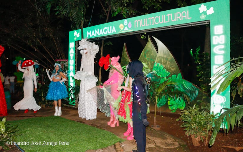 NATURALEZA-ENCENDIDA--(10)